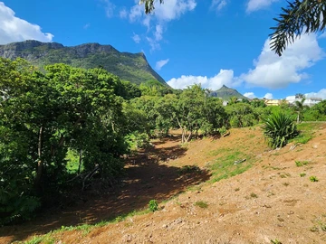 Terrain