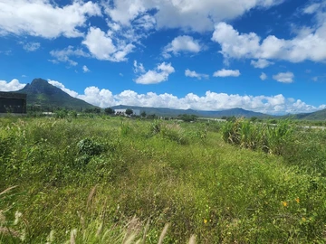 Land